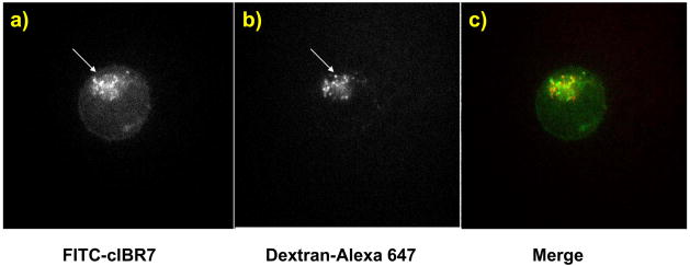 Figure 7