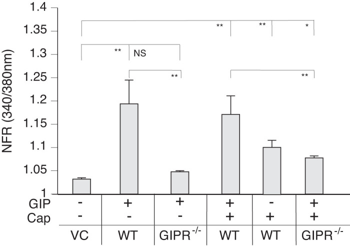 Fig. 10.