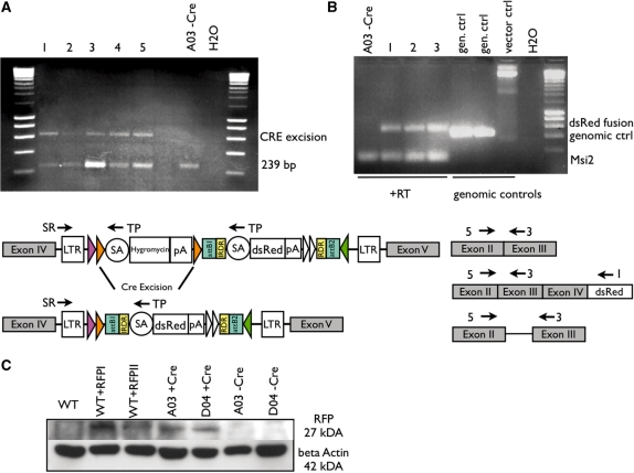 Figure 3.