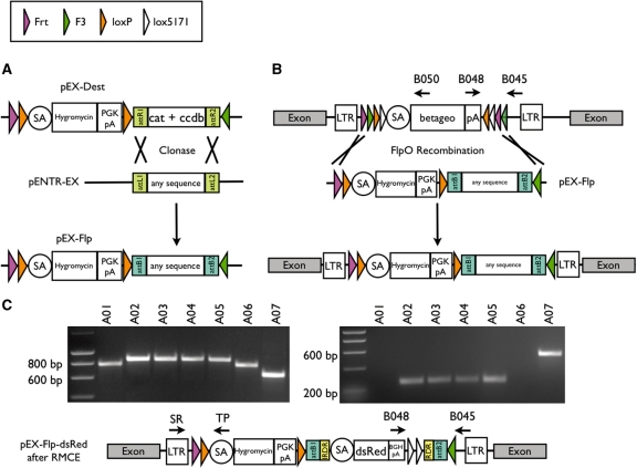 Figure 1.