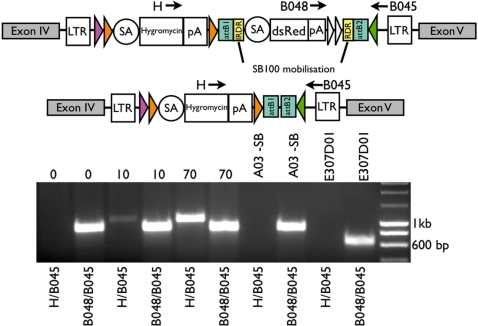 Figure 5.