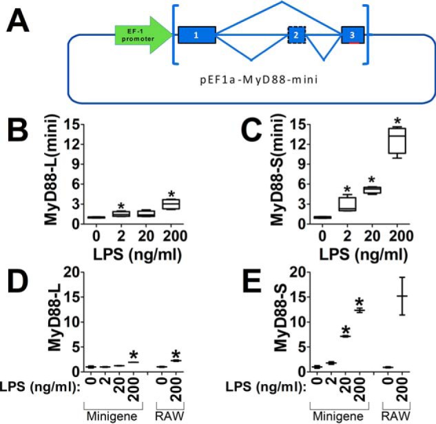 Figure 7.