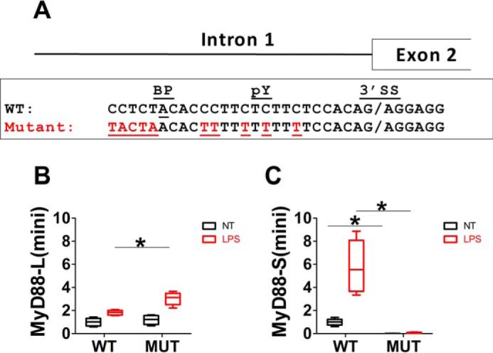 Figure 9.