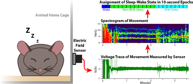 Image, graphical abstract