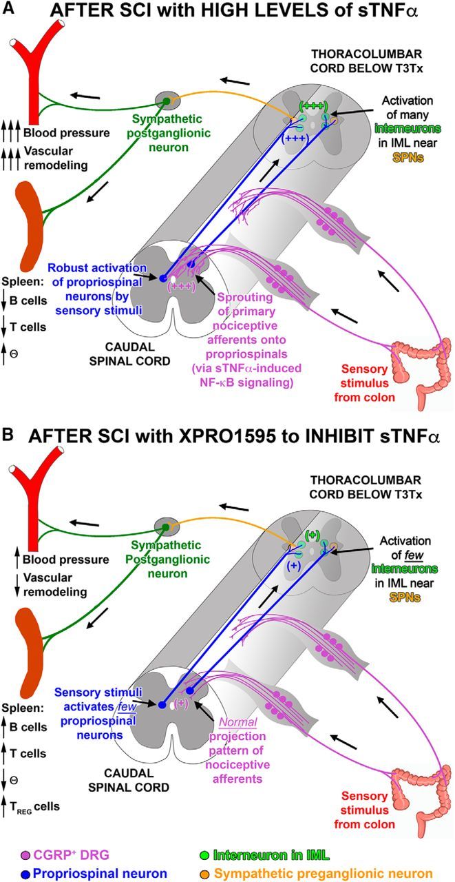 Figure 12.