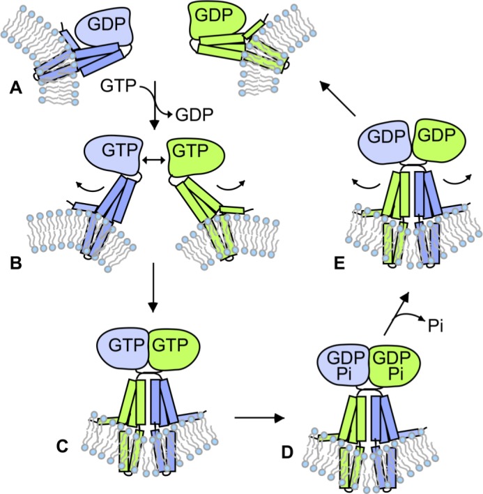 Figure 7.