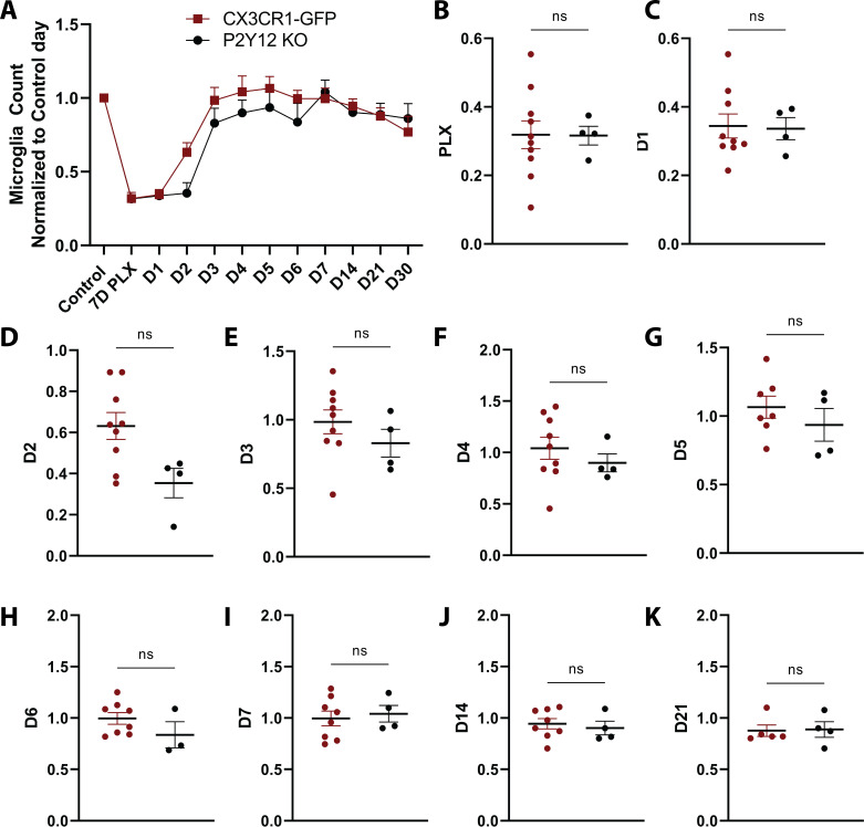 Figure 2—figure supplement 2.