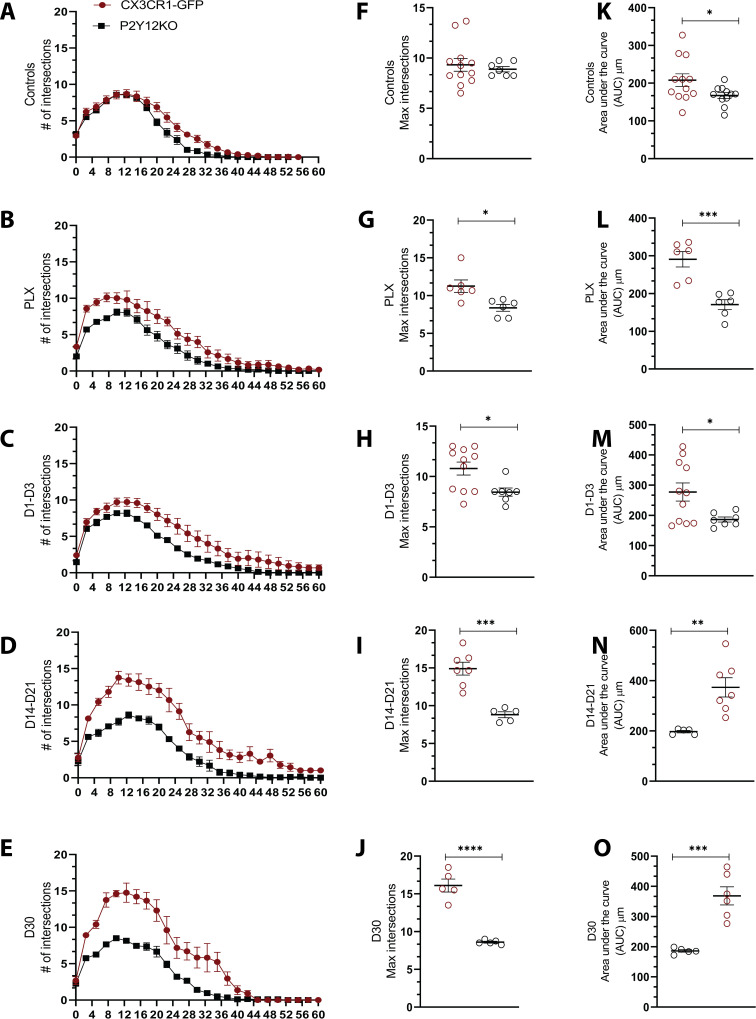 Figure 6—figure supplement 1.