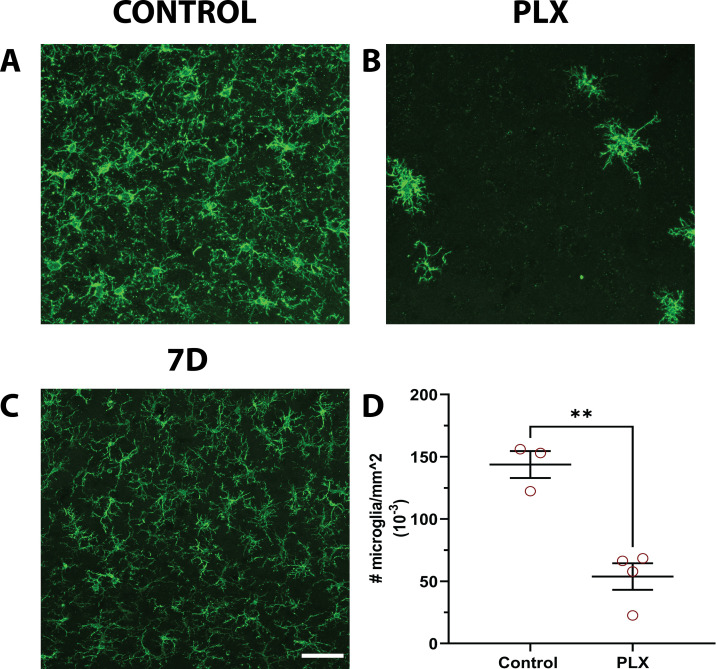 Figure 1—figure supplement 2.