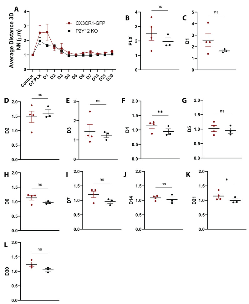 Figure 2—figure supplement 3.