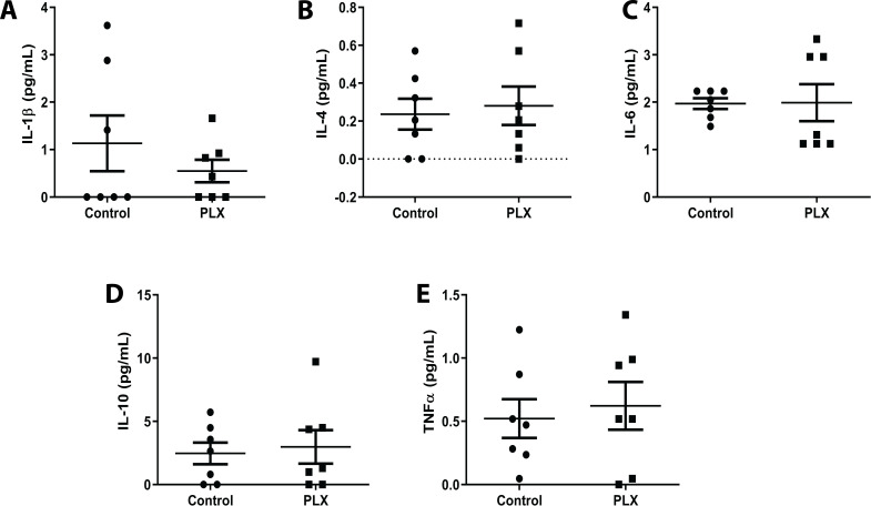 Figure 1—figure supplement 1.