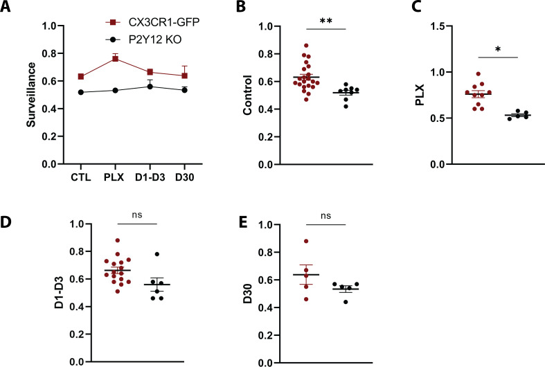 Figure 7—figure supplement 4.