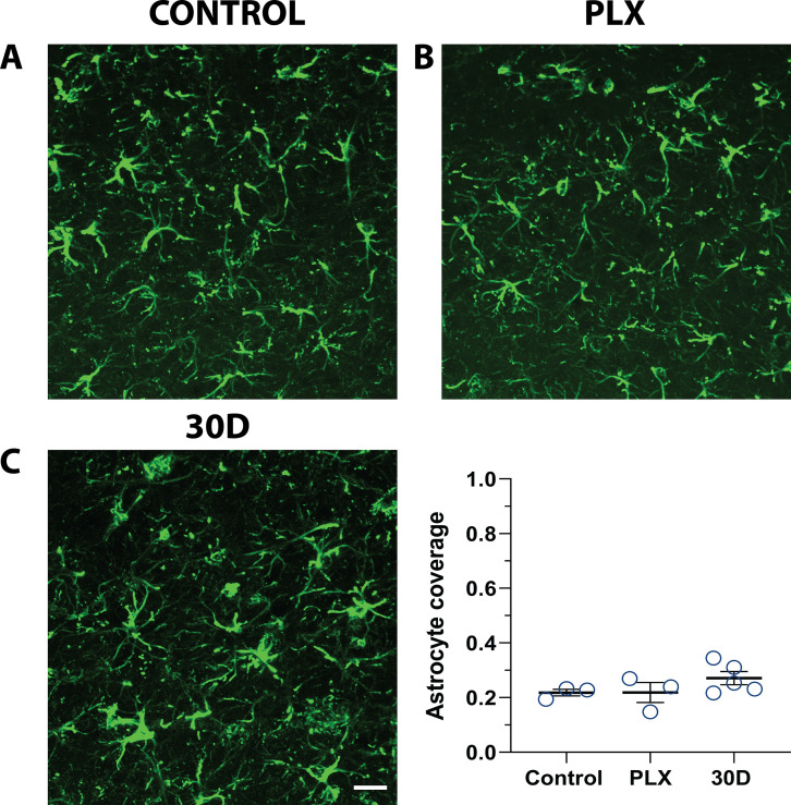 Figure 2—figure supplement 1.