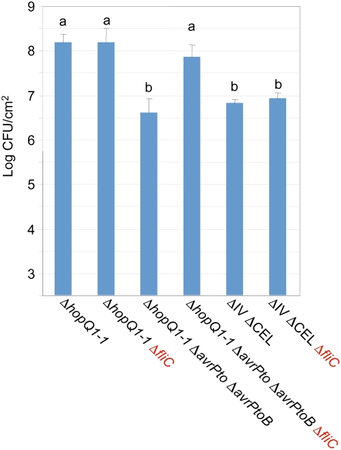 Figure 6