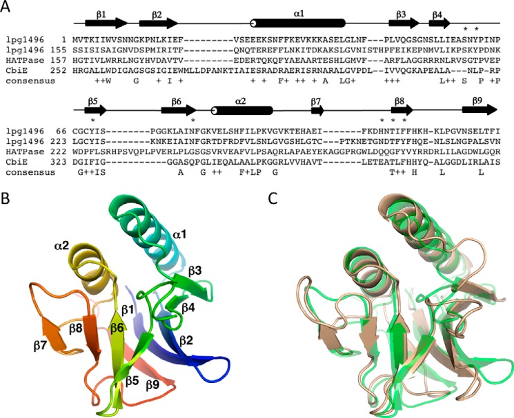 FIGURE 3.