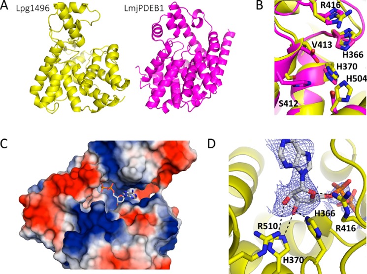 FIGURE 2.