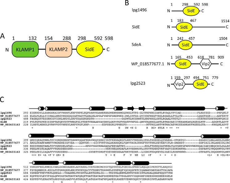 FIGURE 1.