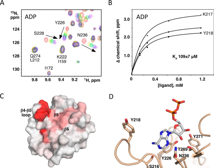 FIGURE 4.