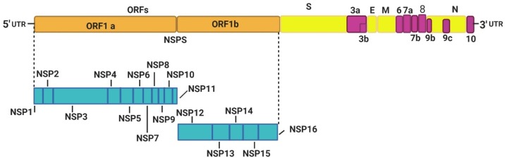 Fig. 2