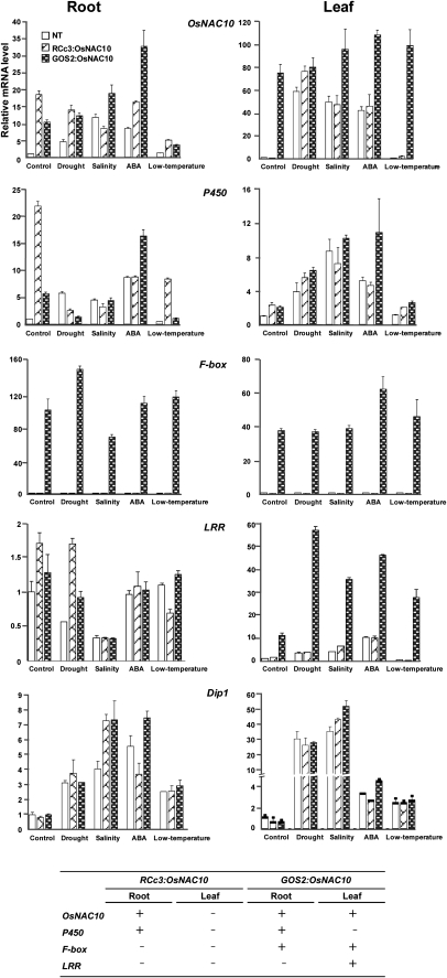 Figure 4.