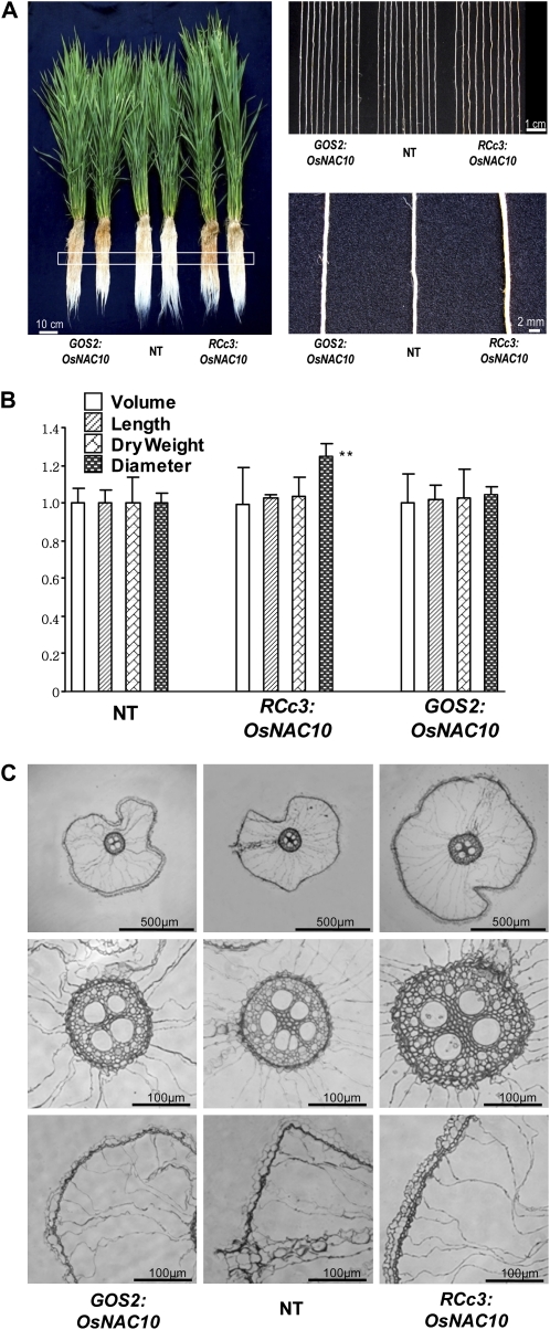 Figure 6.