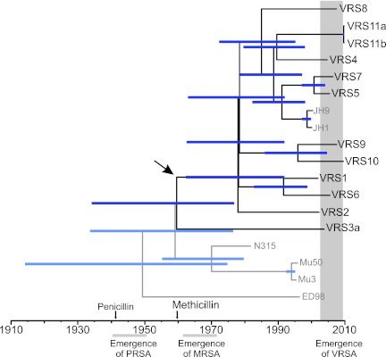 FIG 6 