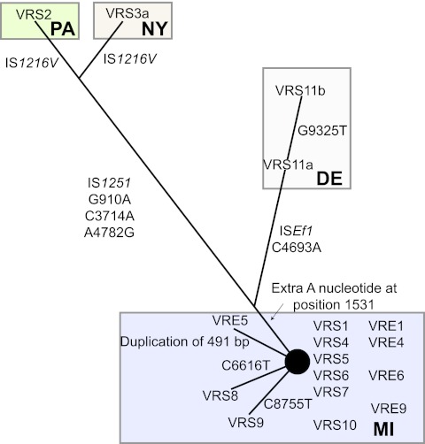 FIG 2 