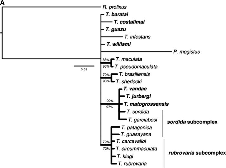 Figure 3.