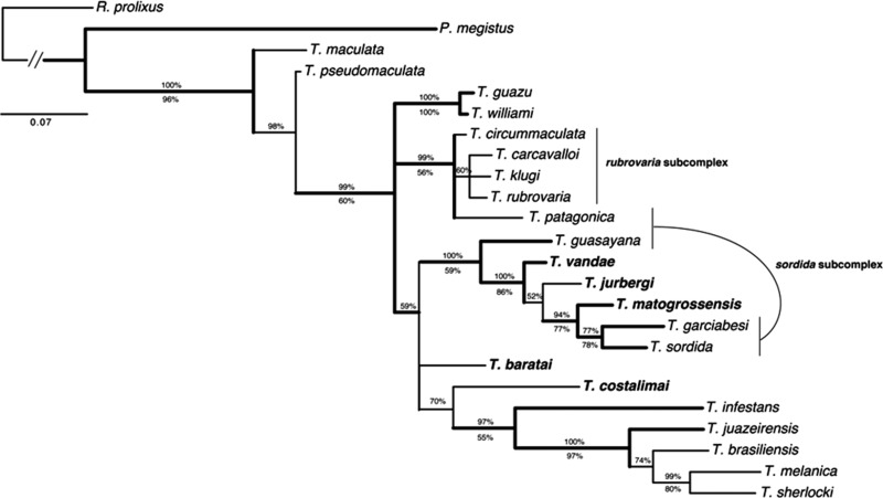 Figure 4.