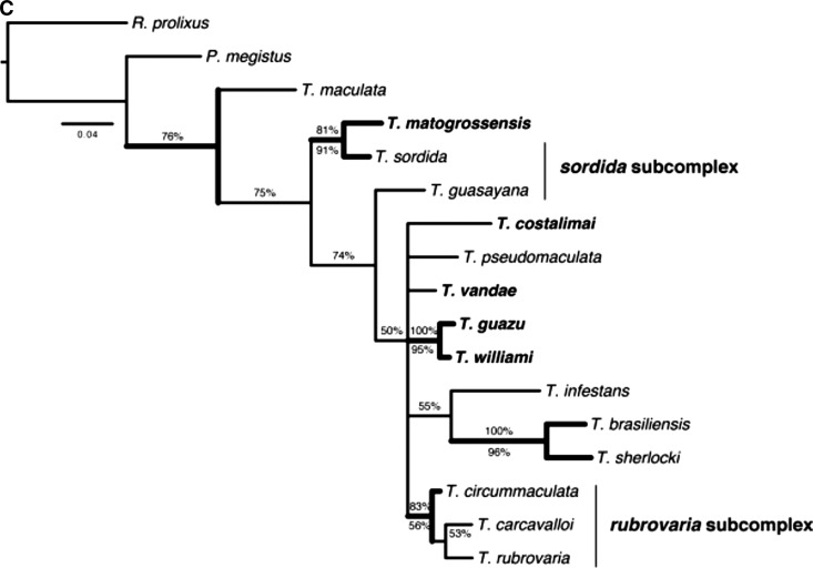 Figure 3.