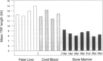 graphic file with name pnas01143-0203-b.jpg