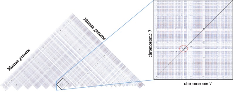 Fig. 5.