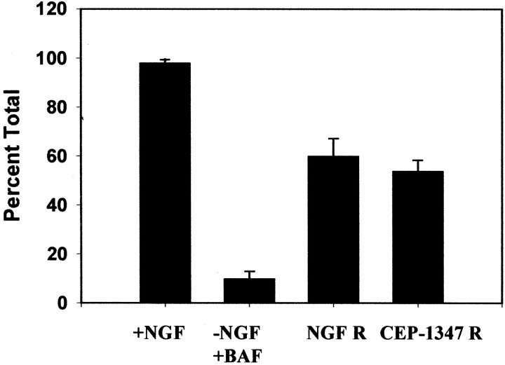 Fig. 9.