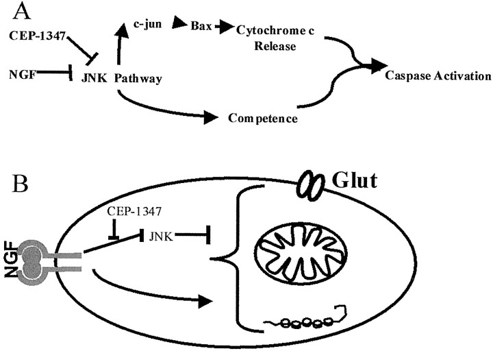 Fig. 11.