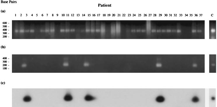 FIG. 6