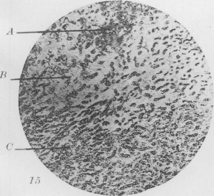 Fig. 15