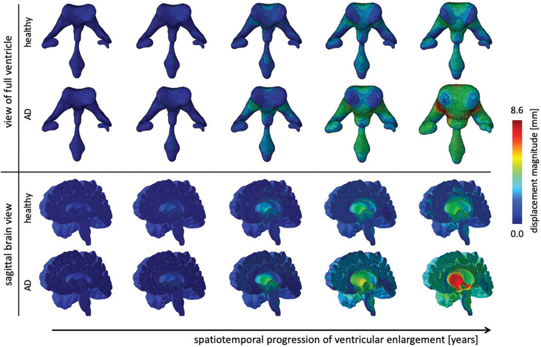 FIGURE 6 |