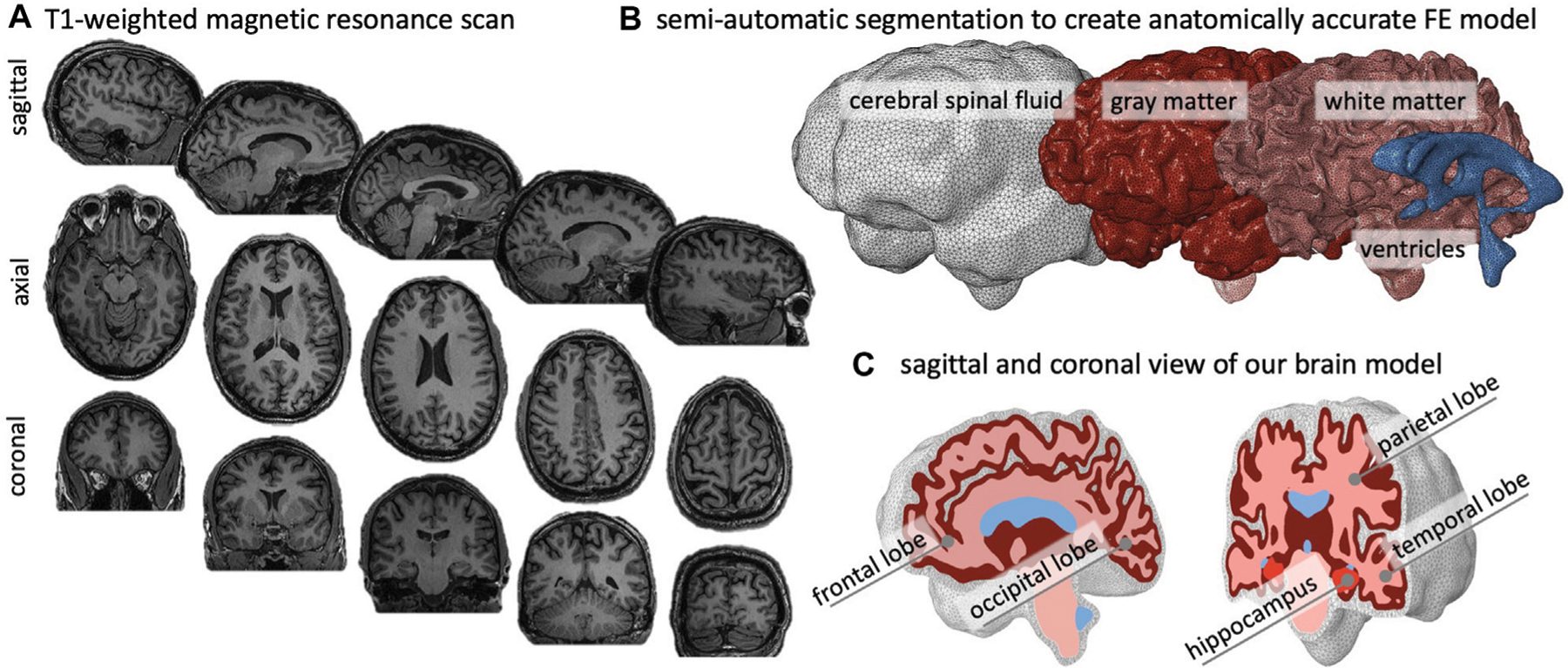 FIGURE 2 |