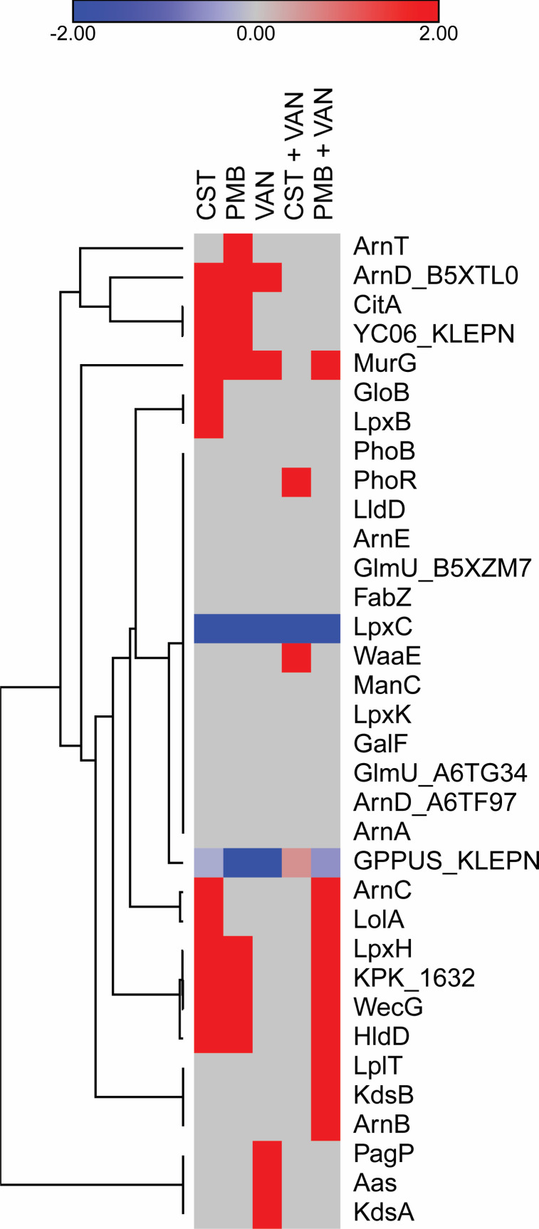 Fig 10