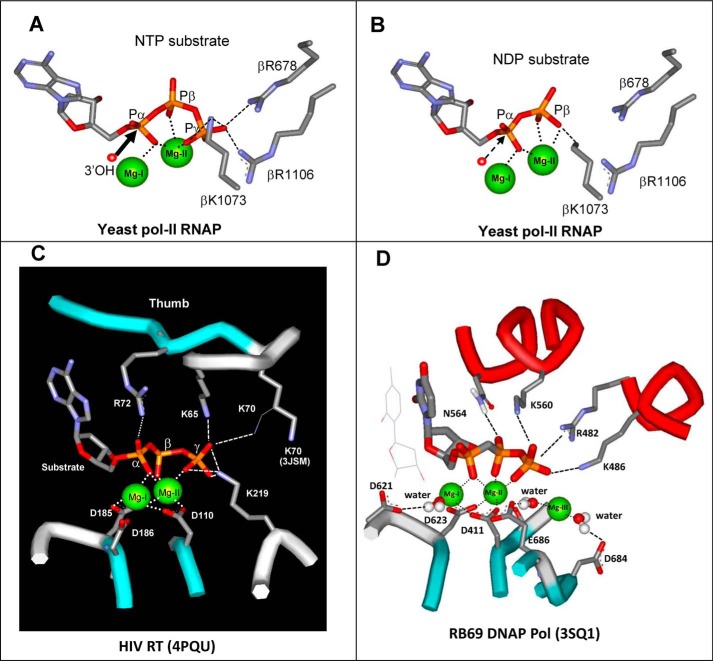 Figure 6.