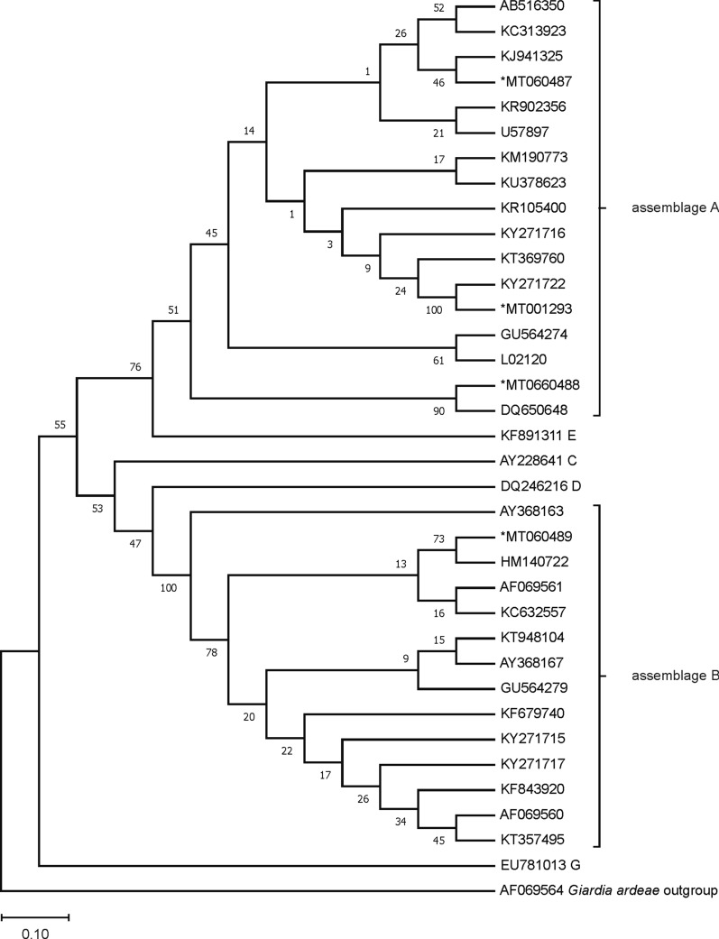 Fig. 1