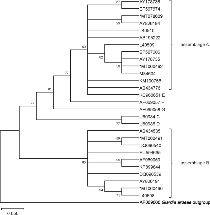 Fig. 2