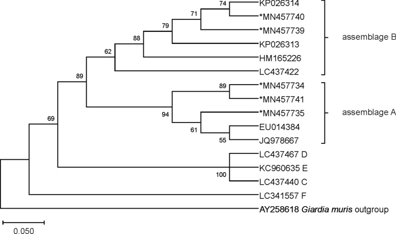 Fig. 3