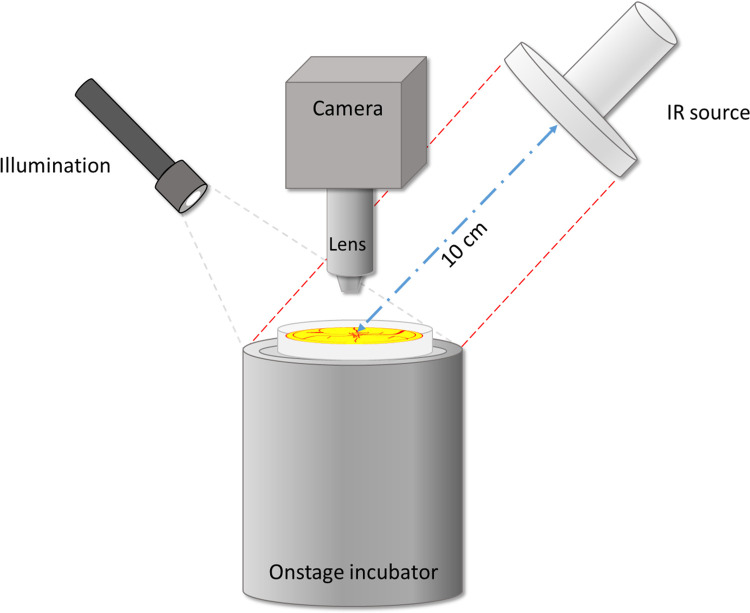 Fig 2