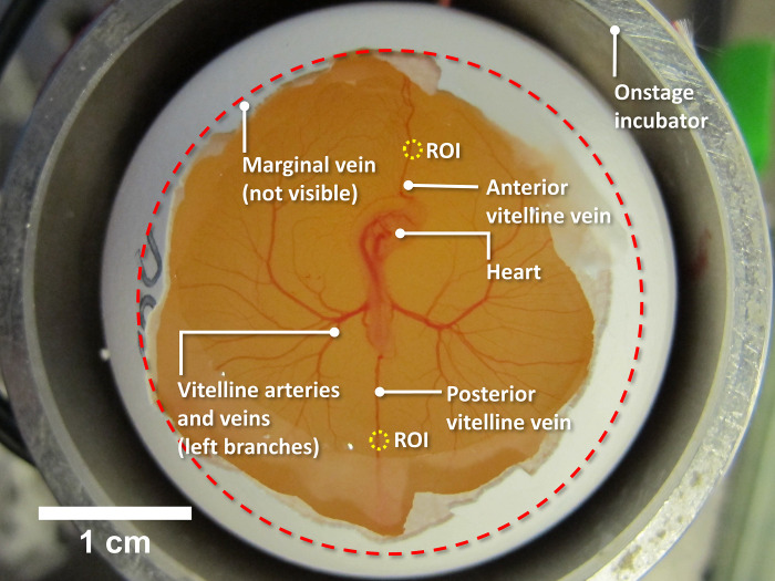 Fig 1