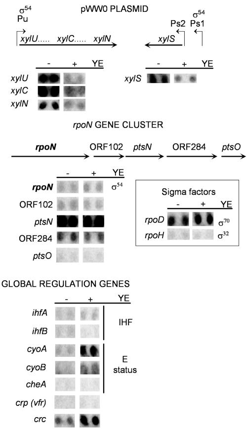 FIG. 5.