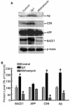 FIG. 6.