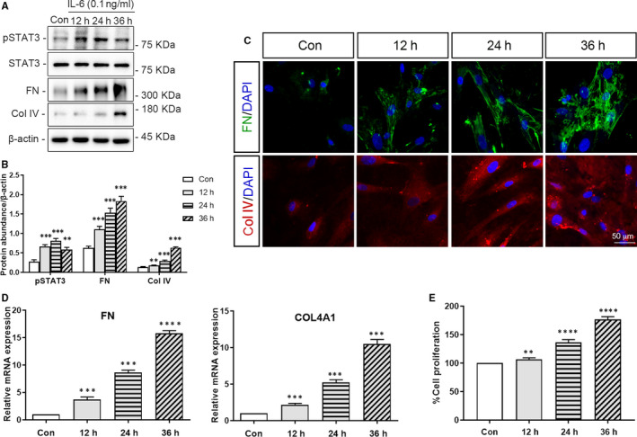 FIGURE 4