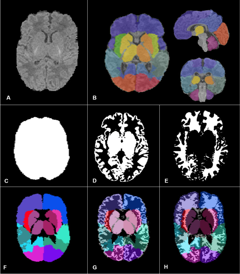 FIGURE 2