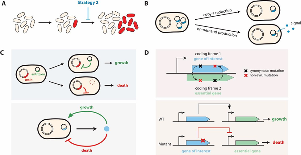 Figure 3.